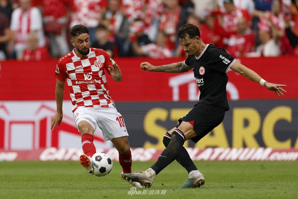 和篮球文化 和篮球文化