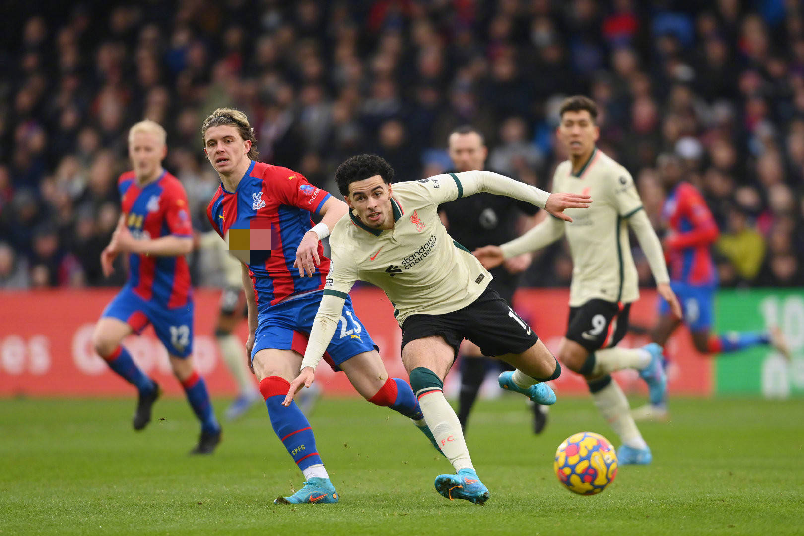 为何他是最 为何他是最